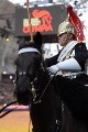 Cavalry - 00224